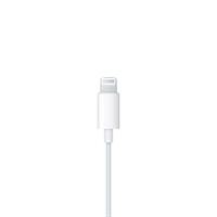 AURICOLARI ATTACCO LIGHTININ