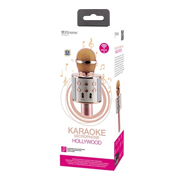 MICROFONO KARAOKE HOLLIWOOD