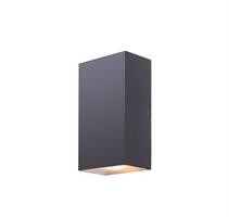 LAMP.ESTERN.EVALIA ALLUM.