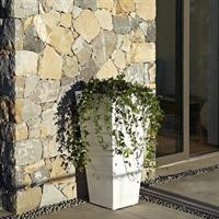 VASO Y-POT POLIETILENE WHT