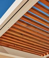 PERGOLA SHIBUYA ALLUM.266X26