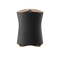 SPEAKER 2.1 WIREL