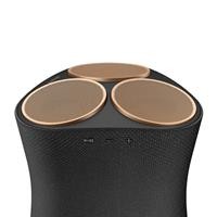 SPEAKER 2.1 WIREL