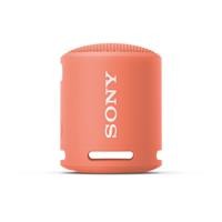 SPEAKER PORT WIREL PINK