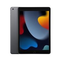 10.2 IPAD WIFI 64GB SPACE GR