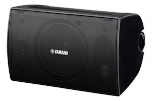 DIFFUSORE DA ESTERNI 100W