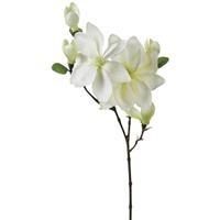 MAGNOLIA 92 CM.BIANCA