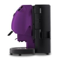 FROG REVOLUTION BASE VIOLA