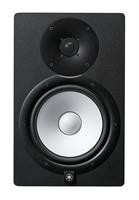 SPEAKER 2VIE 120W BLK SINGOL