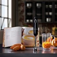 FRULL.IMMERS.700W NERO