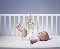 GIOCO FD LULLABY STARDUST BU