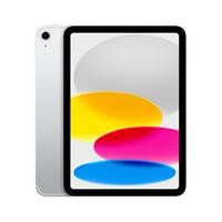 10.9-IPAD WI-FI+CELL 256G AR