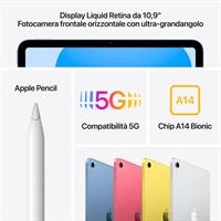 10.9-IPAD WI-FI+CELL 256G AR