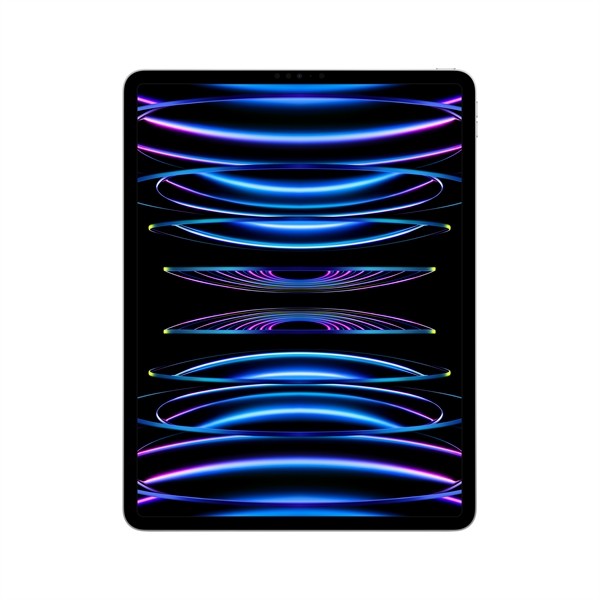 12.9 IPAD PRO WIFI 256G ARGE