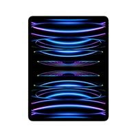 12.9 IPAD PRO WIFI 256G ARGE