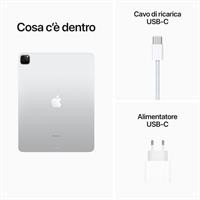 12.9 IPAD PRO WIFI 256G ARGE
