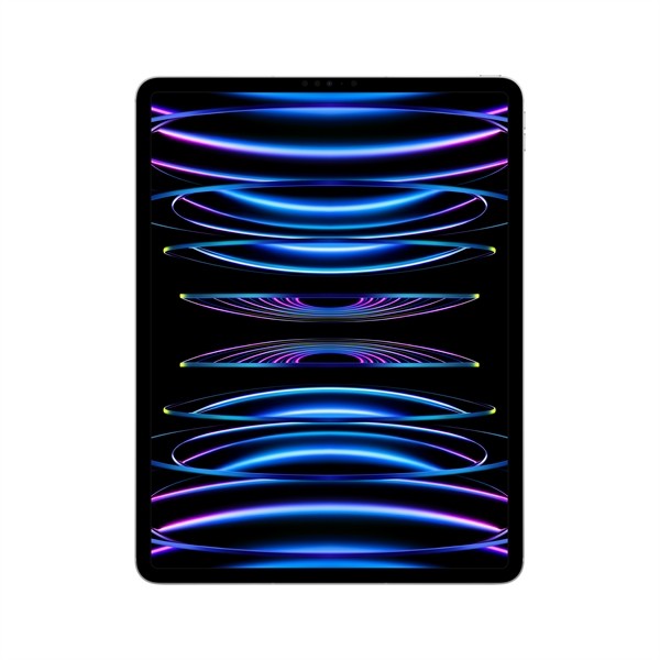 12.9 IPAD PRO WIFI+CEL 256G