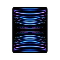 12.9 IPAD PRO WIFI+CEL 256G