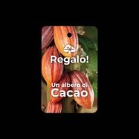 TREEDOM ALBERO DI CACAO