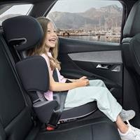 SEGG.AUTO ROADFIX I-SIZE GRE