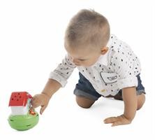 GIOCO GIOSTRINA DELLE API