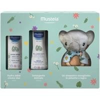 COFANETTO KOALA 2023