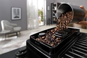 #MACC.CAFF MAGNIFIC START MI