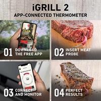TERMOMETRO I GRILL 2