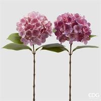 ORTENSIA NOBILE H60 ROSA SCU