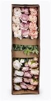 RANUNCOLO ROYAL H45 ROSA SCU