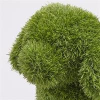 DECORO ERBA CANE H33 L23 L35