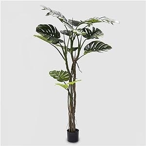 MONSTERA SLIM C/VASO H.180