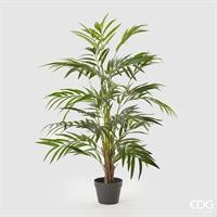 PALMA ARECA CHIC C/VASO H120