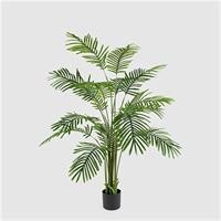 PALMA ARECA C/VASO H150