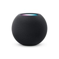 HOME POD MINI SPACE GREY