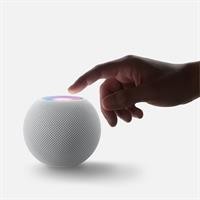HOME POD MINI SPACE GREY
