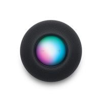 HOME POD MINI SPACE GREY
