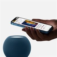 HOME POD MINI SPACE GREY
