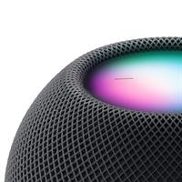 HOME POD MINI SPACE GREY