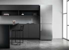 FRIGO CB CLE TNF SILVER 462L