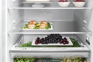FRIGO CB CLE TNF SILVER 462L