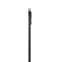 11IPAD PRO WIFI+CELL 256GB N