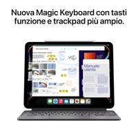 11IPAD PRO WIFI+CELL 256GB N