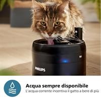 FONTANELLA D'ACQUA X GATTI