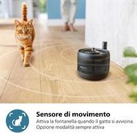 FONTANELLA D'ACQUA X GATTI