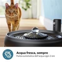 FONTANELLA D'ACQUA X GATTI