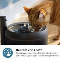 FONTANELLA D'ACQUA X GATTI