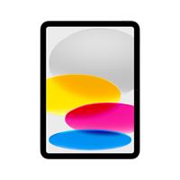 10.9-IPAD WIFI+C256GB SILV N