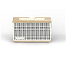 SPEAKER BT 40 WATT