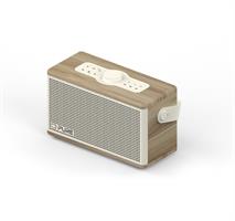 SPEAKER BT 40 WATT